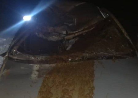 ضرورت استمرار طرح جمع‌آوری شترها برای توقف بحران جاده‌های جاسک