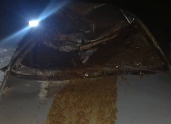 ضرورت استمرار طرح جمع‌آوری شترها برای توقف بحران جاده‌های جاسک
