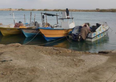 توقیف ۳ شناور ترال غیرمجاز و دستگیری ۹ متهم/ برخورد قاطع با زنده‌گیری پرندگان