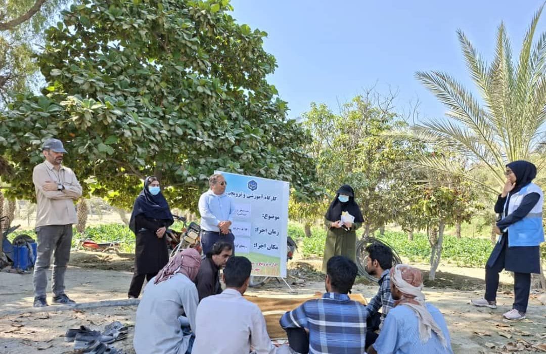 آموزش کشاورزان جاسکی برای مقابله با پشه آئدس در روستای کوئیک