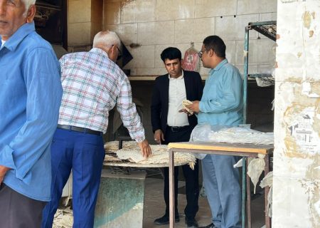 گشت مشترک نظارتی بر نانوایی‌های بندر جاسک به منظور ارتقای کیفیت نان