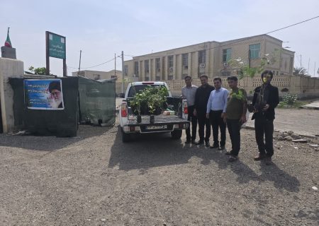 توزیع نهال رایگان در بندرجاسک در راستای پویش سرو ایران