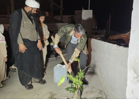 کاشت و توزیع نهال در تجمع شبانه شهر بندرجاسک به یاد شهدای جنگ تحمیلی اخیر/تصاویر