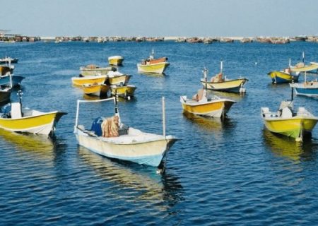 استقبال صیادانجاسک از اجرای طرحردیاب بر روی قایقهایصیادی